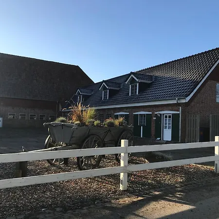 Nordische Auf Gut Bennewohld Ll Heide (Schleswig-Holstein)